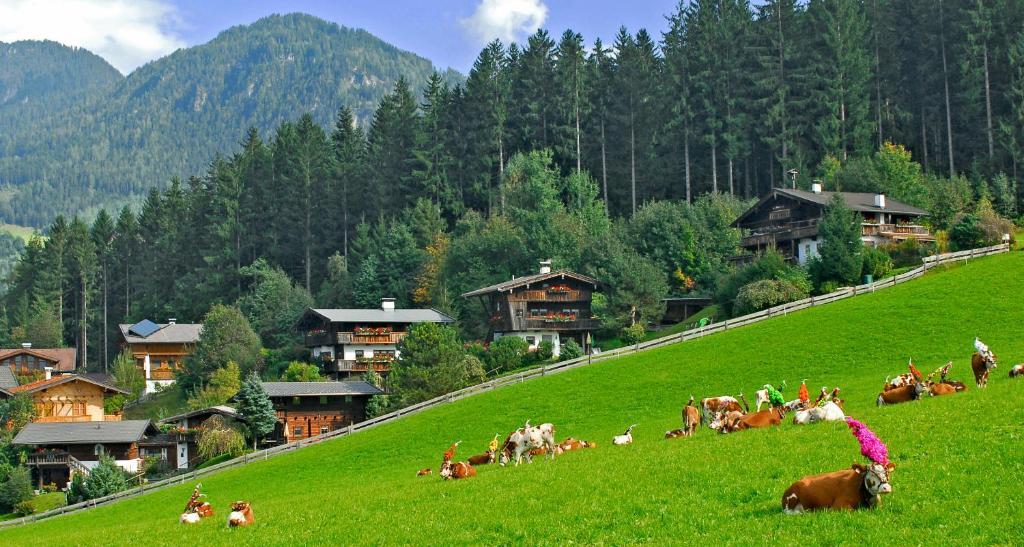 Ferienhauser Reither Almen Reith im Alpbachtal